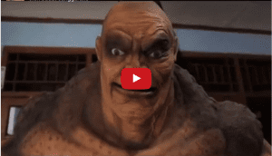 Read more about the article VIDEO